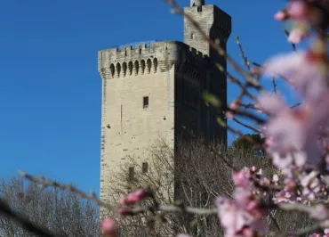 Tour Philippe le Bel