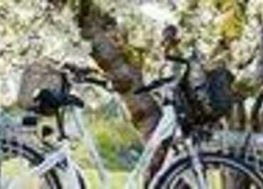Sun-E-Bike: Location de vélos au Camping