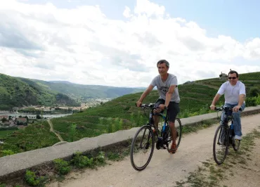 Vélo électrique dansles vignes