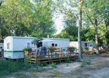 CAMPING LA PETITE MOTTE (FFCC)