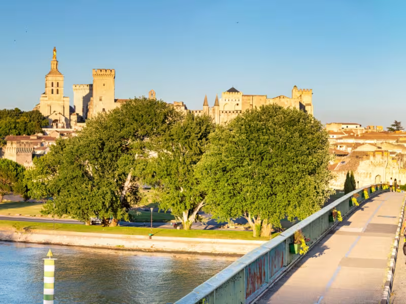 Cyclistes à Avignon