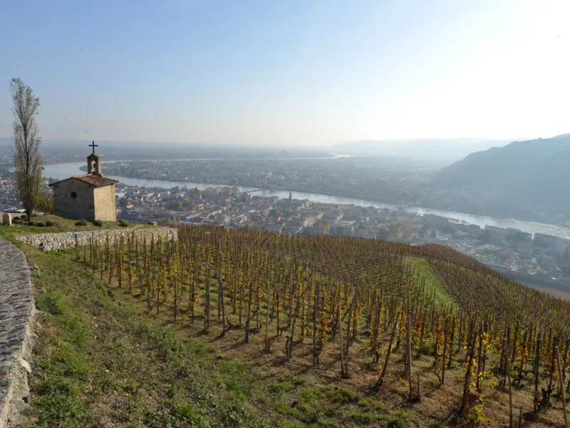 les coteaux de l’Hermitage