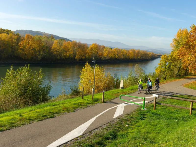 Bord du Rhône à vélo près d'Andancette
