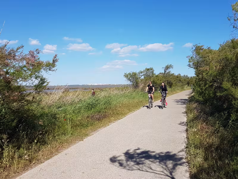 Voie verte le long de l'étang du Mejean