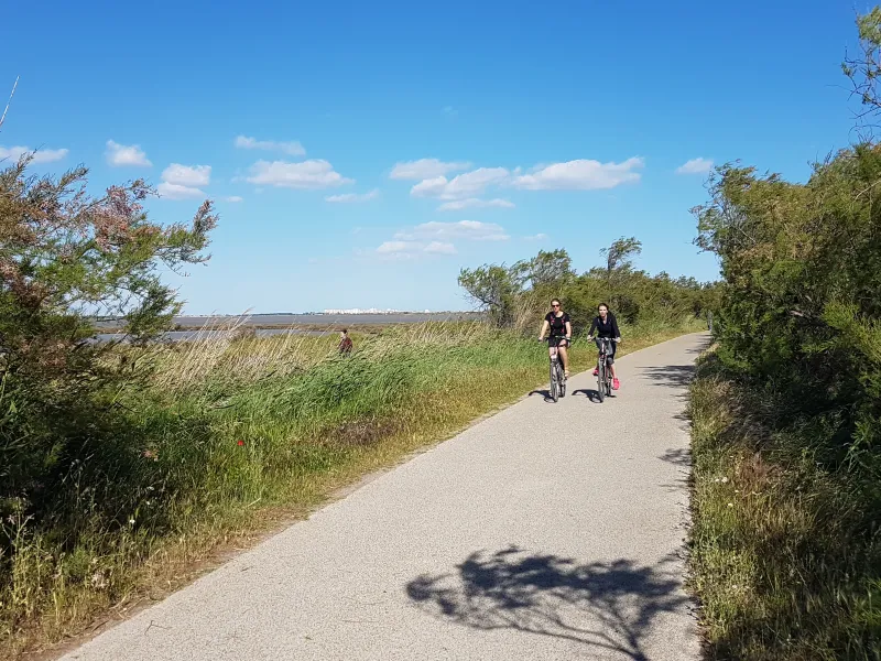 Voie verte le long de l'étang du Mejean