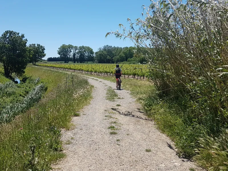 Entre Lunel et Saint-Just