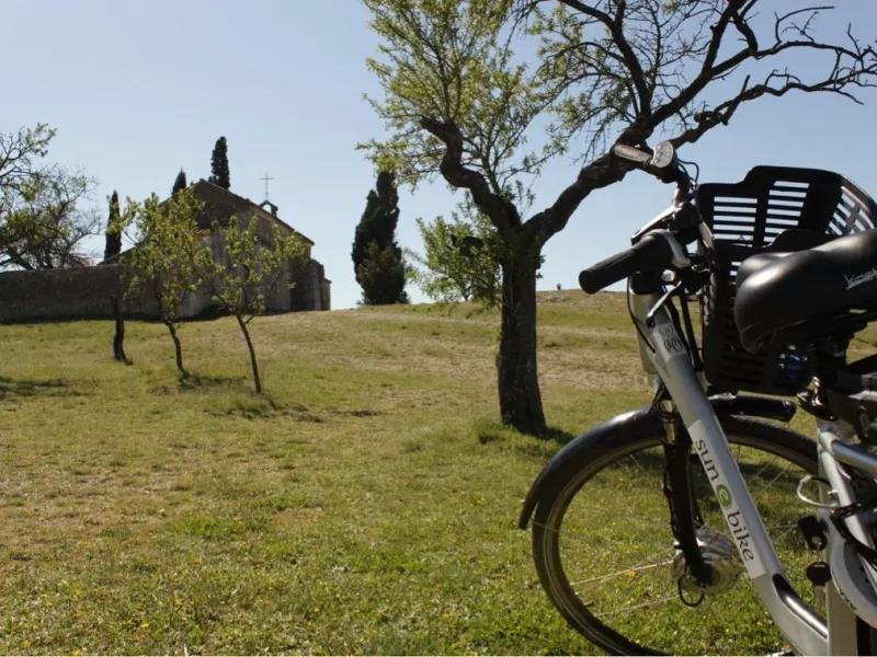 Semaine découverte dans les Alpilles et en Camargue via La ViaRhôna