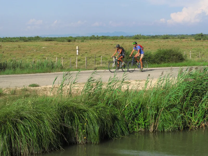 A travers les rizières à vélo
