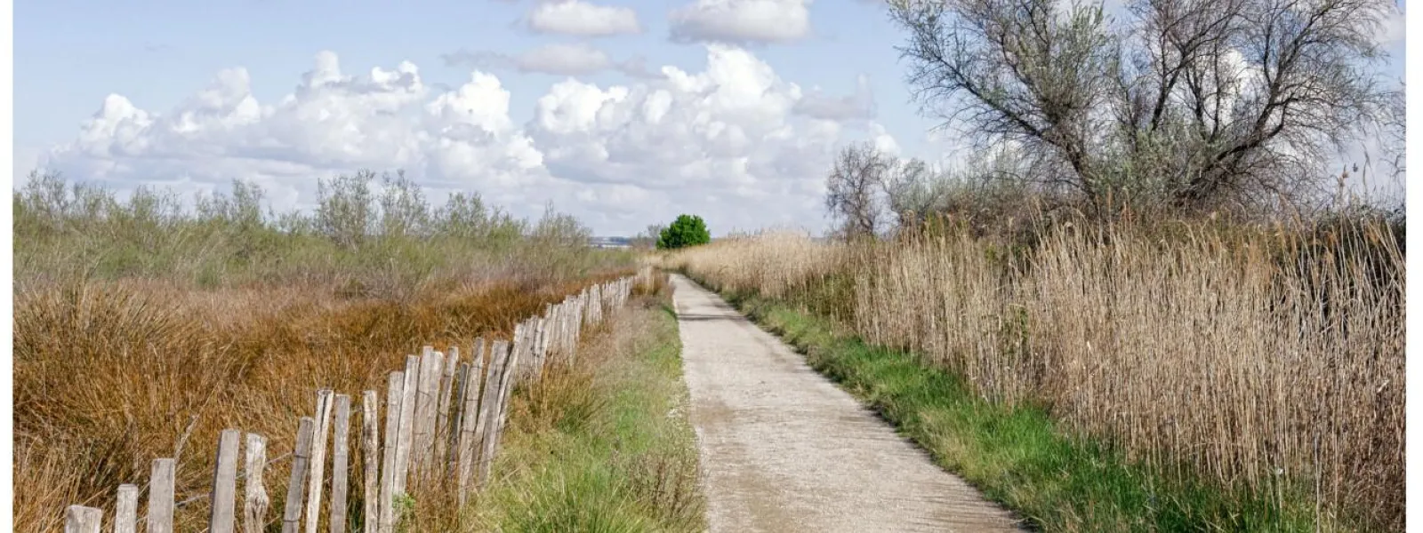 Boucle cyclo entre vignes et rizières