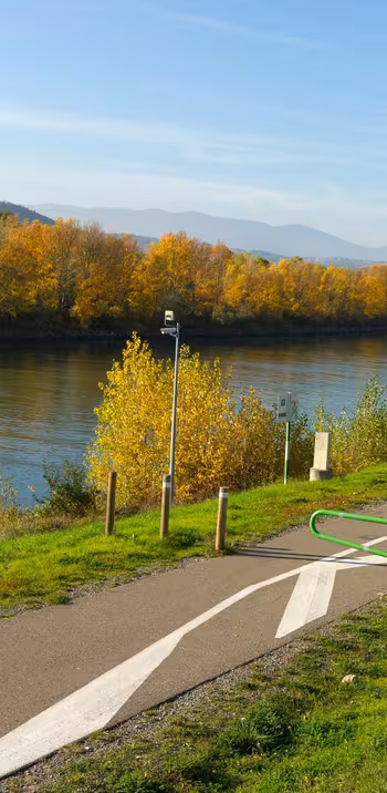Bord du Rhône à vélo près d'Andancette