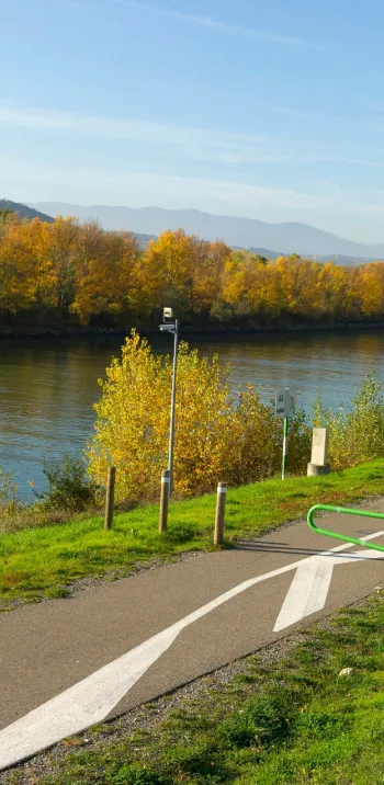 Bord du Rhône à vélo près d'Andancette