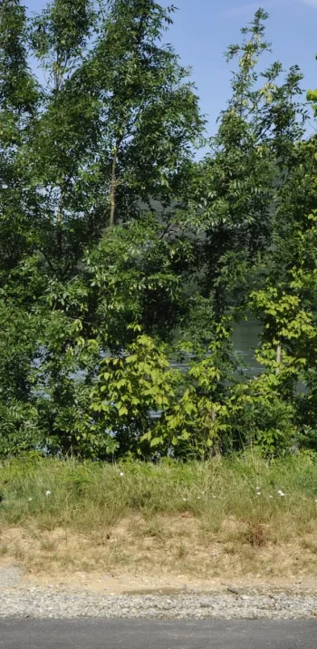 Signalisation ViaRhôna autour de St-Vallier 
