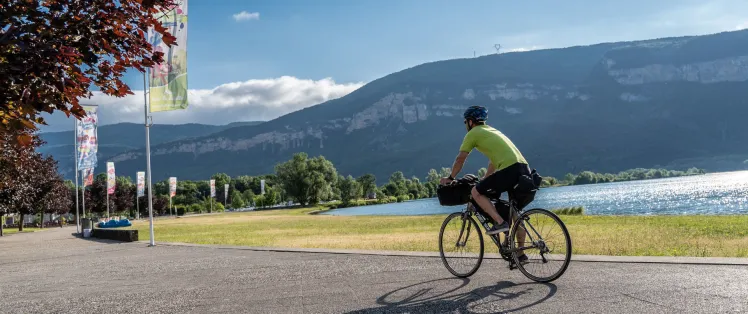Cycliste sur ViaRhôna