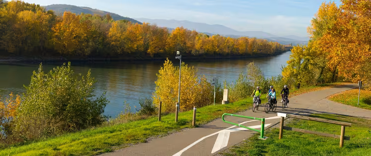 Bord du Rhône à vélo près d'Andancette