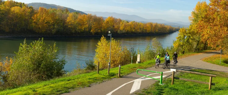 Bord du Rhône à vélo près d'Andancette