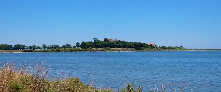 Cathédrale de Maguelone