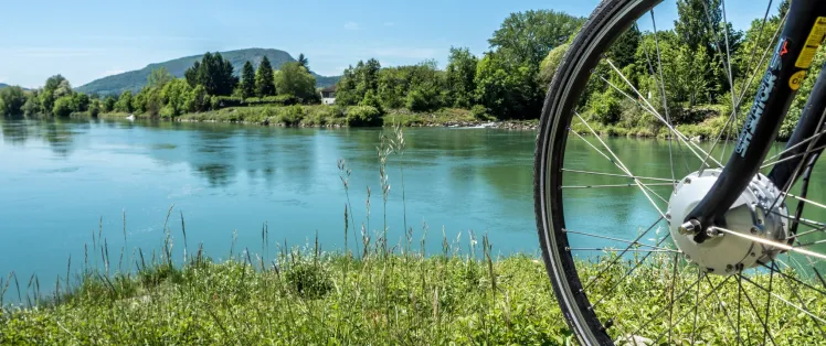 Haut-Rhône à Bugey sur la ViaRhôna