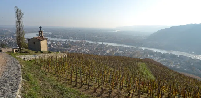 Des vignobles de Tain aux Roches qui dansent - Boucle vélo n°9