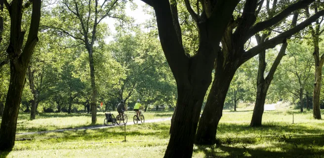 Le parc de Lorient - Boucle vélo n°2