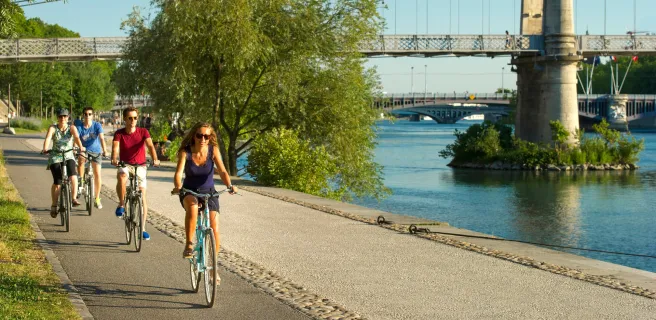 Lyon à Saint-Romain-en-Gal / Vienne