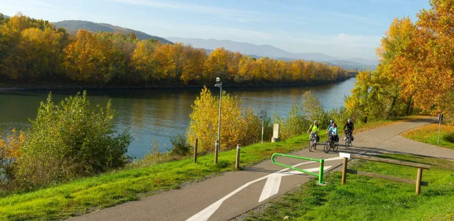 Bord du Rhône à vélo près d'Andancette