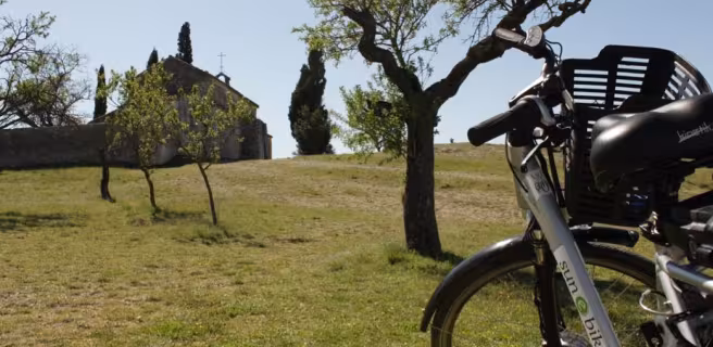 Semaine découverte dans les Alpilles et en Camargue via La ViaRhôna
