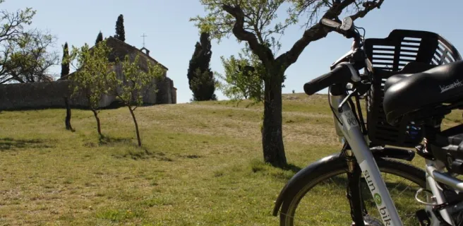 Semaine découverte dans les Alpilles et en Camargue via La ViaRhôna