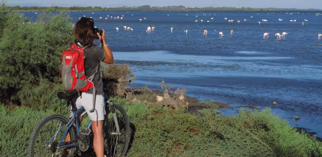 Découverte de l'Etang de Vaccarès