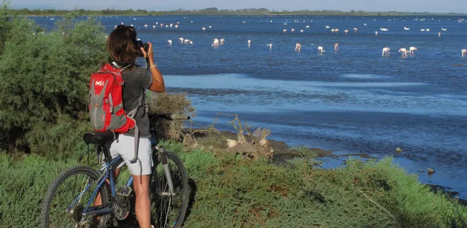 Découverte de l'Etang de Vaccarès