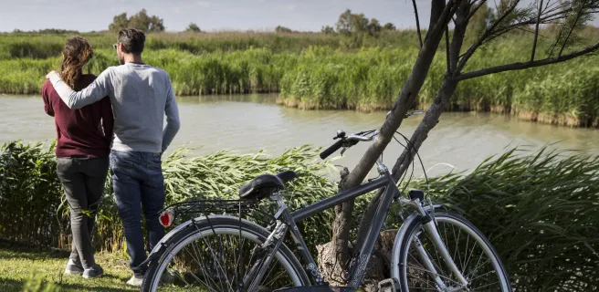 Arles à Port Saint Louis du Rhône