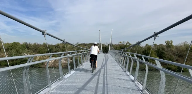 Caderousse à Avignon