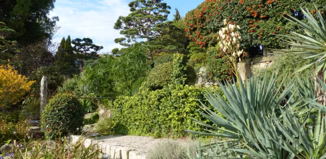 Jardin zen
