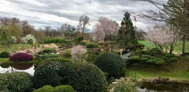 Jardin zen d'Erik Borja