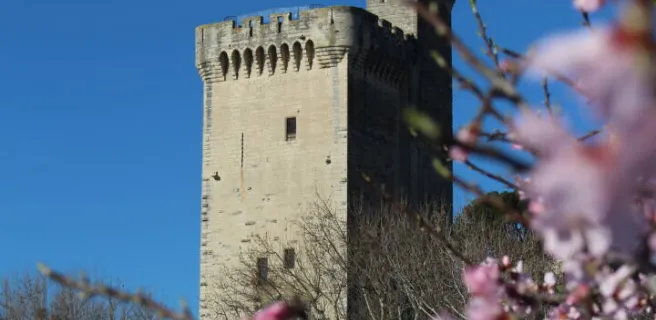 Tour Philippe le Bel