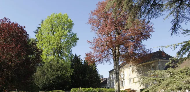 La maison d'hôtes et son parc