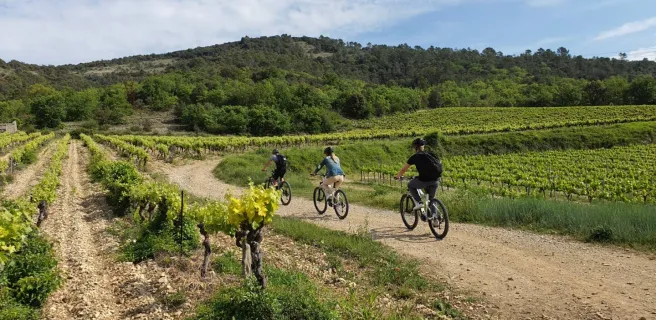 ALLVELO, randonnées terroir à vélo électrique, sorties sportives et évènementiel