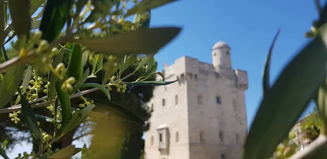 Tour Saint Louis extérieur