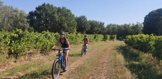 VELŒnologie côte du Rhône à Saint-Martin-d'Ardèche