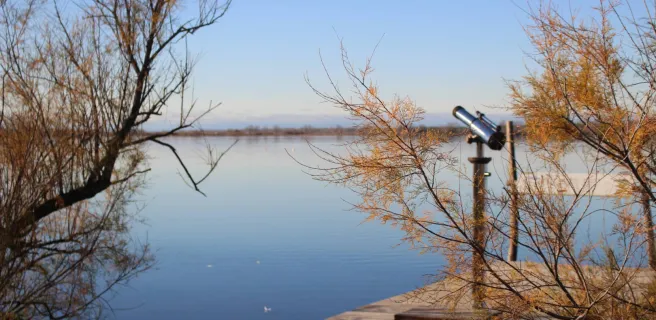 Maison du Grand Site de France Camargue Gardoise