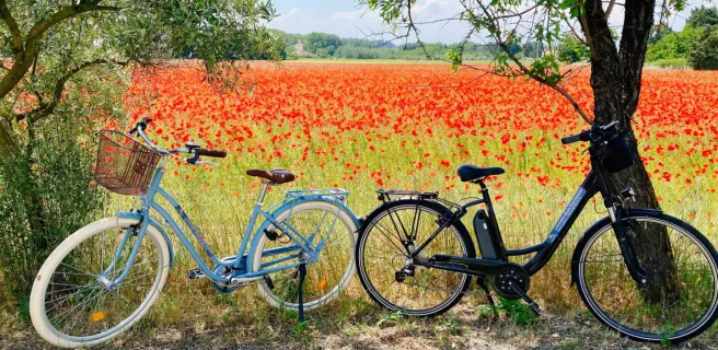 Orange Bike Via Venaissia