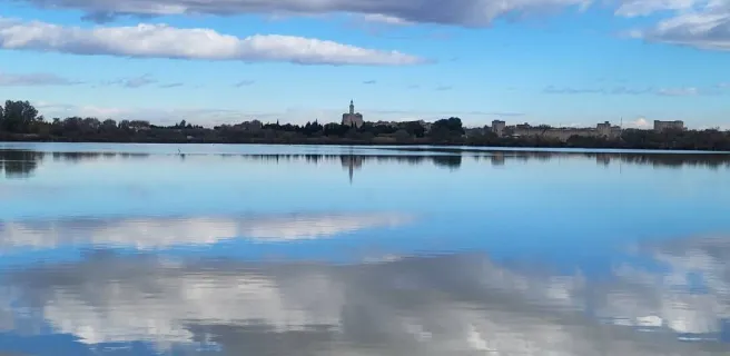 Point de vue sur les remparts d'Aigues-Mortes classé depuis l'étang de la Marette