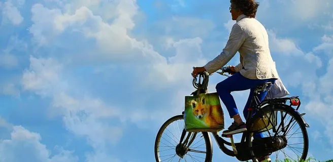 Location de vélos du bois de lune