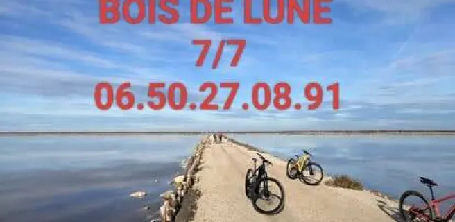 Location de vélos du bois de lune