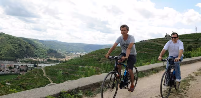 Vélo électrique dansles vignes