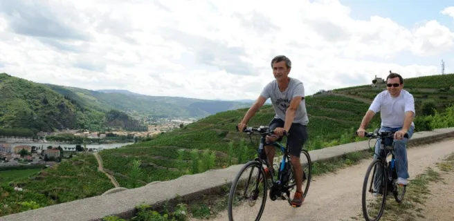 Vélo électrique dansles vignes