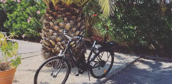 vélo