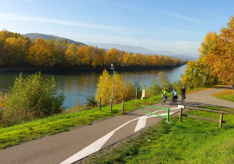 Bord du Rhône à vélo près d'Andancette