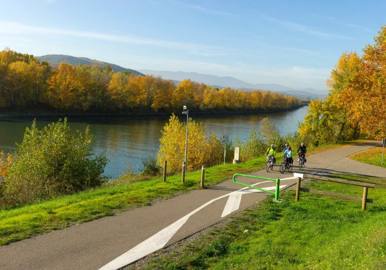 Bord du Rhône à vélo près d'Andancette