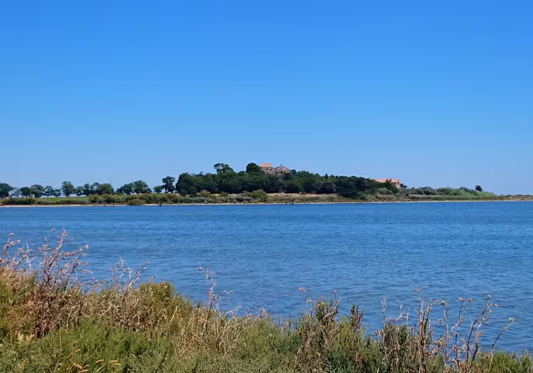 Cathédrale de Maguelone