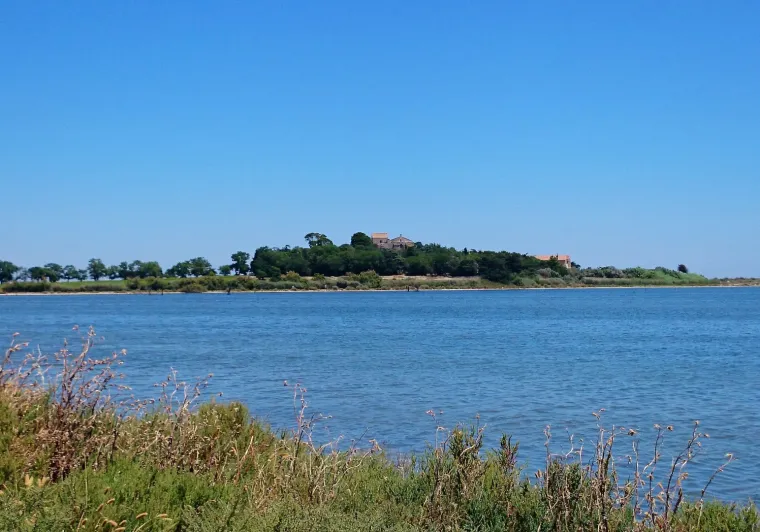 Cathédrale de Maguelone